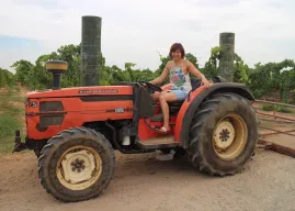 Best things to do in the Swan Valley